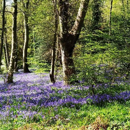 Holly Wood Daire Ault Dış mekan fotoğraf