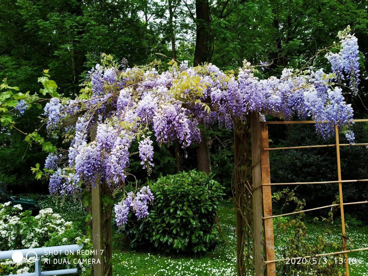 Holly Wood Daire Ault Dış mekan fotoğraf