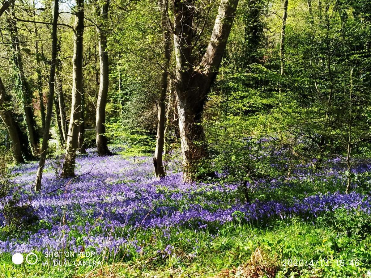Holly Wood Daire Ault Dış mekan fotoğraf